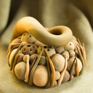 Hexasexual genitalia: Manutine