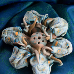 Hexasexual genitalia: Suanovine