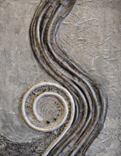Winter Wire